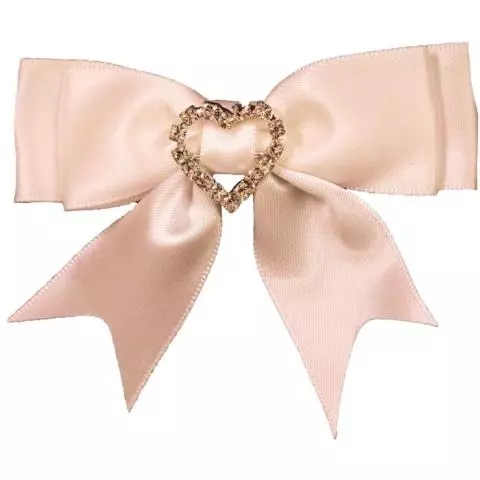 Wide Cream Ribbon Wired Ivory Ribbon Ivory Satin Middle 